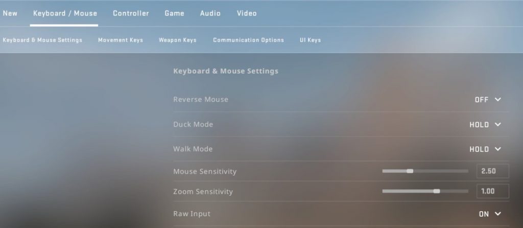 csgo mouse settings