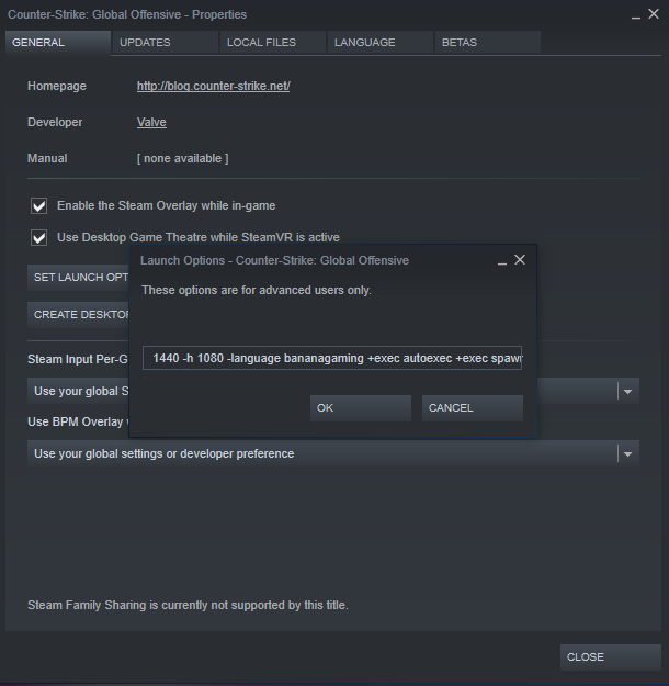 Keep your launch options simple for more FPS